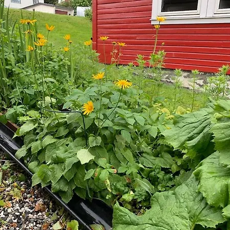 Apartament Gullengvegen *